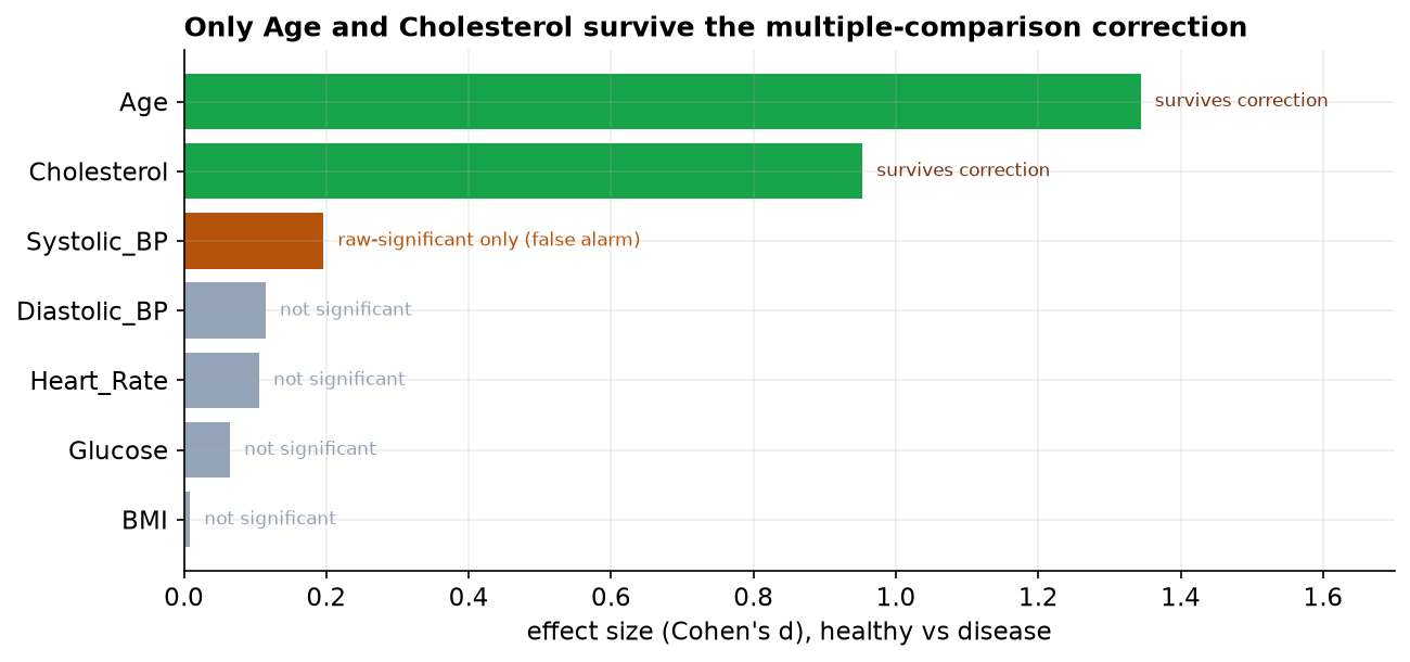 A horizontal bar chart of effect size (Cohen's d) per marker, sorted. Age (about 1.34) and Cholesterol (about 0.95) are drawn in green and labeled 'survives correction'. Systolic BP (about 0.20) is gold and labeled 'raw-significant only (false alarm)'. Diastolic BP, Heart Rate, Glucose, and BMI are short gray bars labeled 'not significant'.