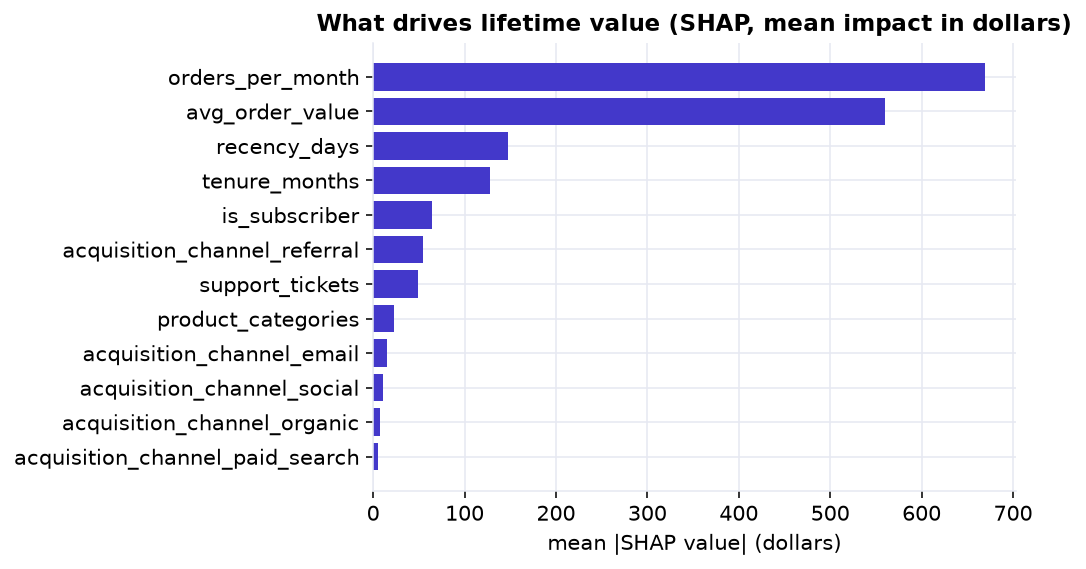 A horizontal bar chart of SHAP importance: orders per month and average order value have by far the largest mean impact on the prediction, followed by recency, tenure, subscription, and the referral channel